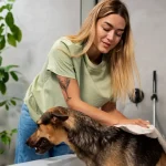 állatorvosi házhoz kiszállás