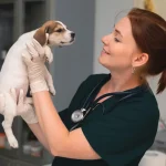 online szaktanácsadás